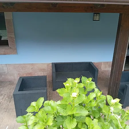El Rincon De Yaxu